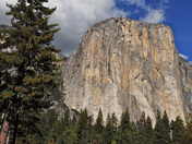 Yosemite National Park