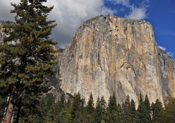 Yosemite National Park