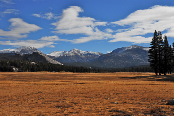 Yosemite National Park