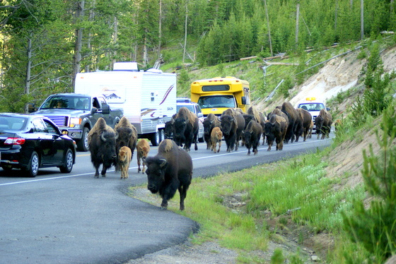 Yellowstone National Park