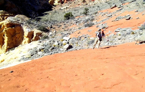 Red Rock Canyon National Conservation Area