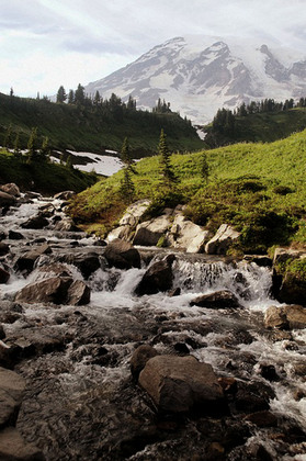 Mount Rainier