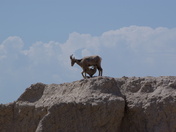 Badlands National Park