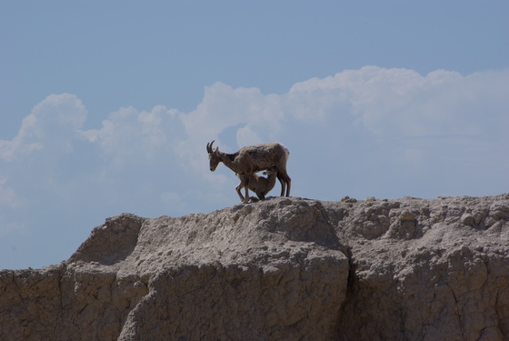 Badlands National Park
