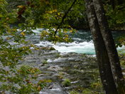 Sahalie falls