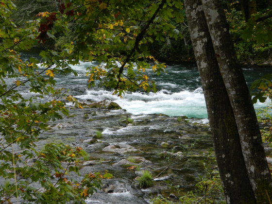 Sahalie falls