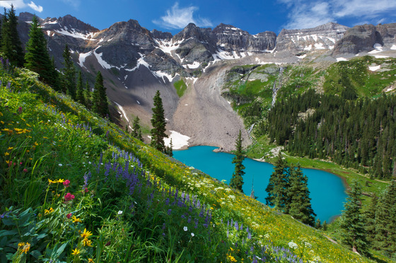 Sneffels Wilderness, Uncompahgre National Forest