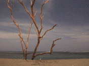 Kaloko Honokohau National Historic Park