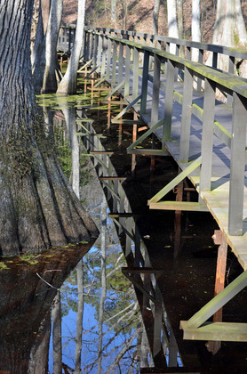 Natchez Trace Parkway