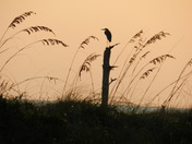 Gulf Islands National Seashore  
