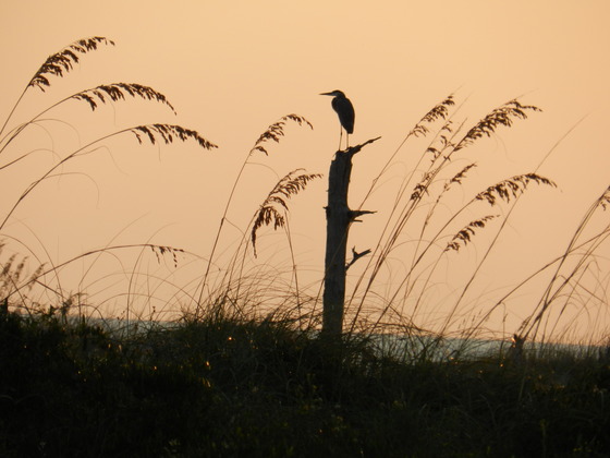 Gulf Islands National Seashore  