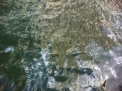 USS Arizona Memorial