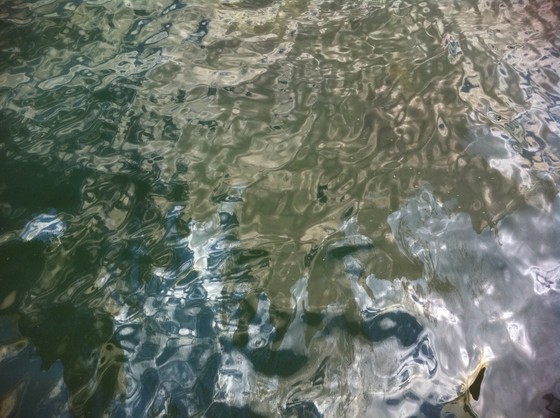 USS Arizona Memorial