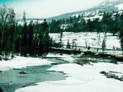 Shoshone National Forest