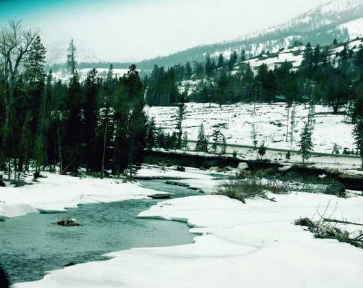 Shoshone National Forest