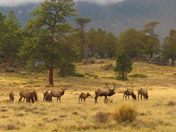 Rocky Mountain National Park