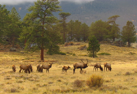 Rocky Mountain National Park