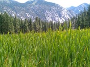 Kings Canyon National Park