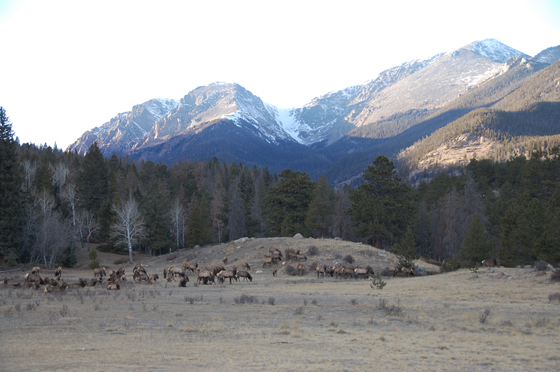 Rocky Mountain National Park