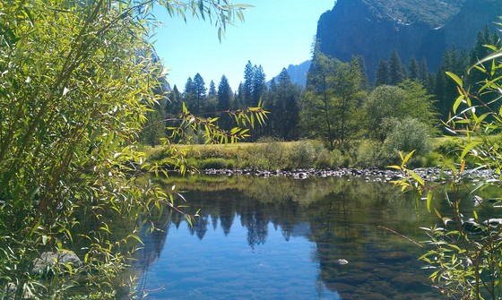 Yosemite National Park