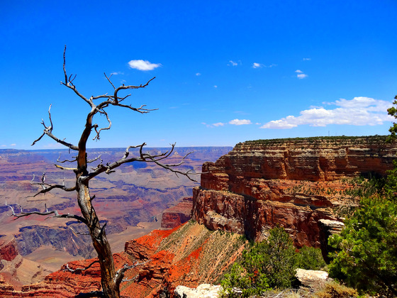 South Rim, Grand Canyon