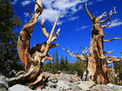 Great Basin National Park