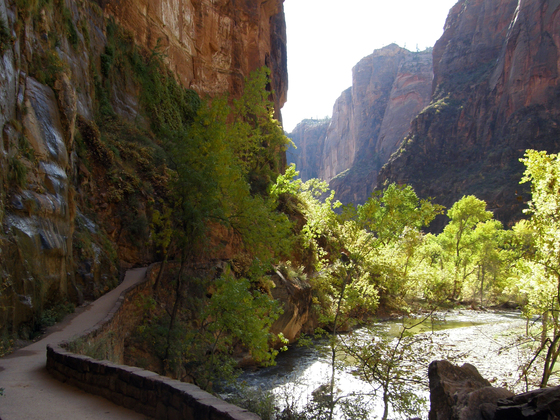 Zion National Park