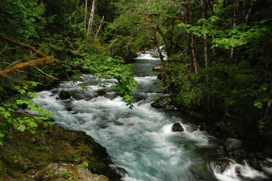 Olympic NP