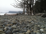 Olympic National Park