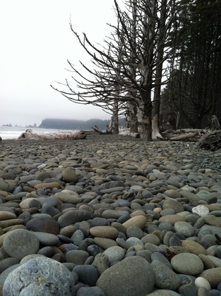 Olympic National Park