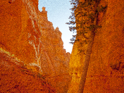 Bryce Canyon National Park