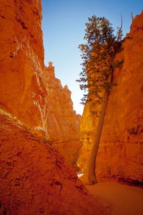 Bryce Canyon National Park