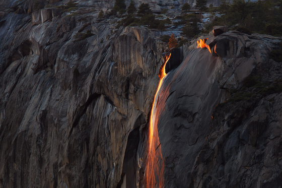 Yosemite NP