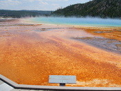 Yellowstone National Park