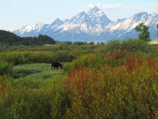 Grand Tetons National Park