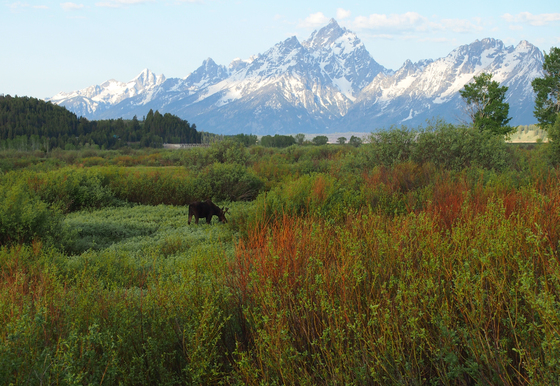 Grand Tetons National Park