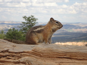 Bryce Canyon