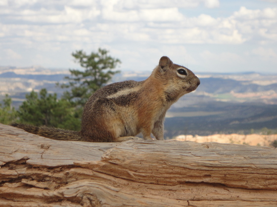 Bryce Canyon