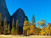 Yosemite National Park