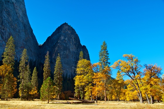 Yosemite National Park