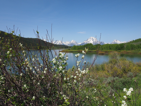 Grand Tetons National Park