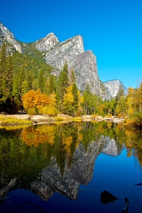 Yosemite National Park