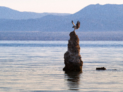 Mono Lake