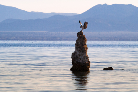 Mono Lake