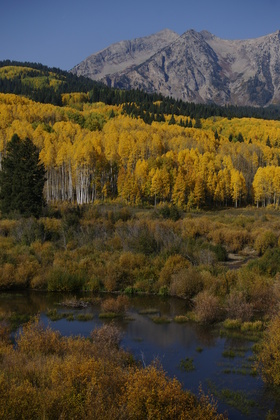 Gunnison National Forest