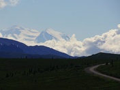 Denali National Park