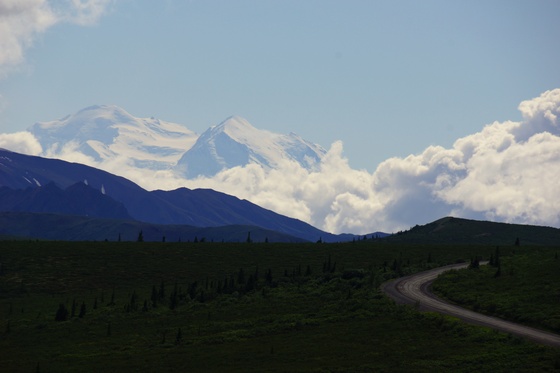 Denali National Park