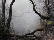 Hawaii Volcanos National Park
