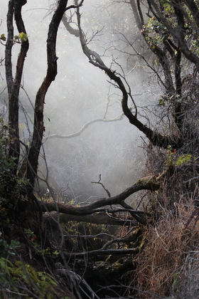 Hawaii Volcanos National Park