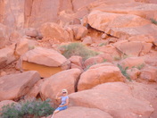 Arches National Park